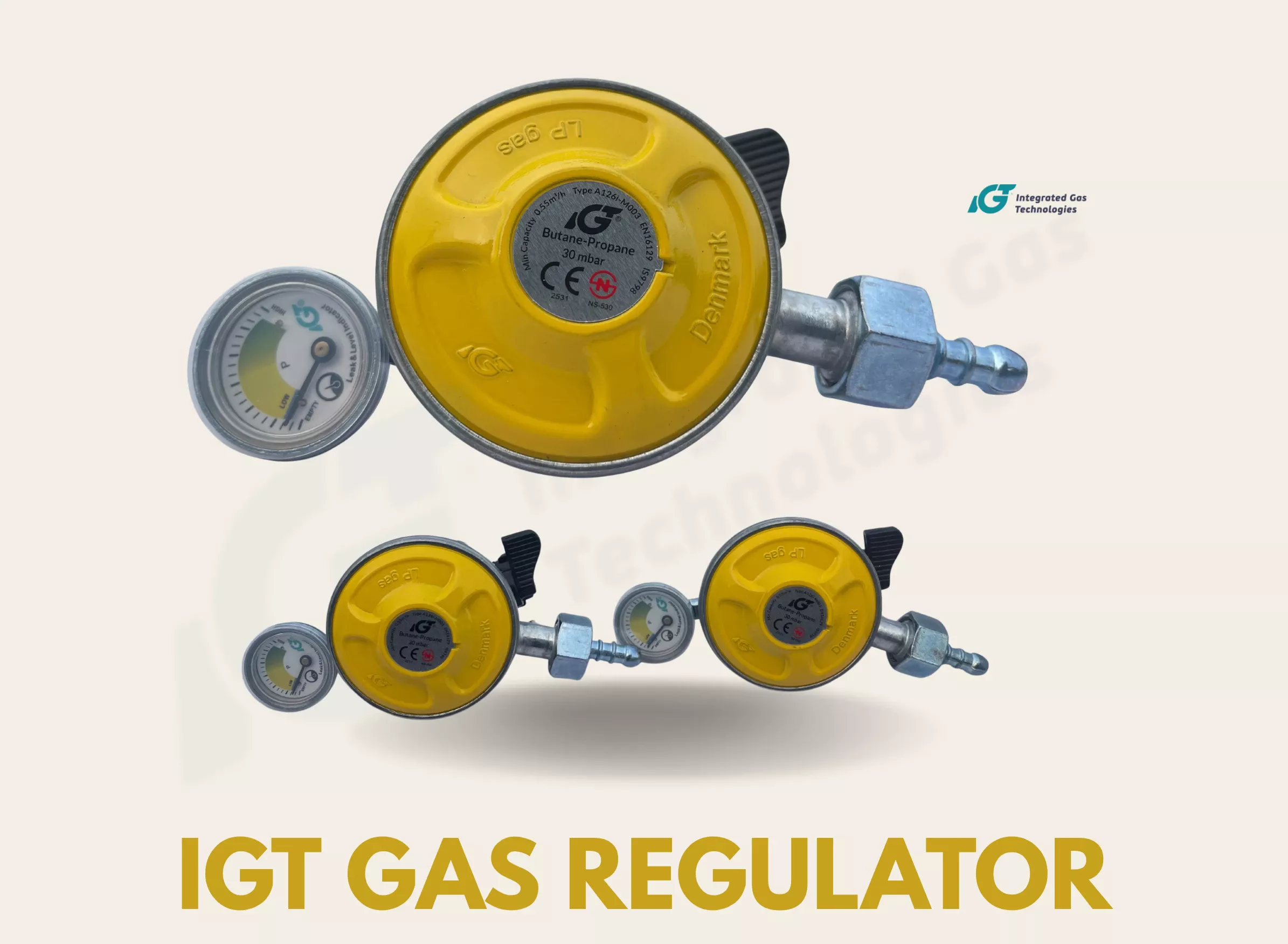 Original IGT Denmark Auto-Cut LPG Gas Safety Regulator (with Safety Switch & 2-Year Replacement Warranty) angle 5